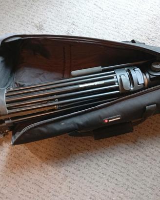 Treppiedi Manfrotto 25 con testa 501