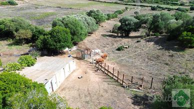 TER. AGRICOLO A ARZACHENA