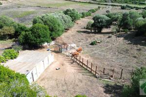 TER. AGRICOLO A ARZACHENA