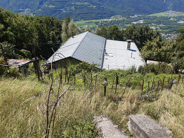 Stalla/Fienile + Terreno