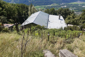 Stalla/Fienile + Terreno