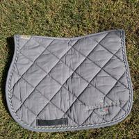 Sottosella Equitatus grigio