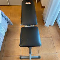 Panca per addominali Panca Ab King Pro