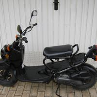 Honda Zoomer