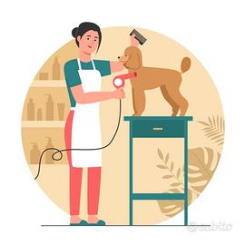 Aiuto toelettatore/apprendista