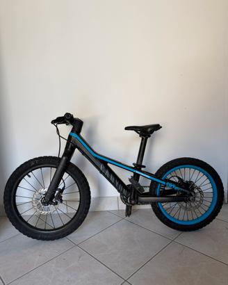 Bicicletta bimbo