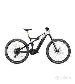 E-Bike Whistle B-Rush c6.4 tgL