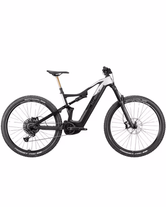 E-Bike Whistle B-Rush c6.4 tgL
