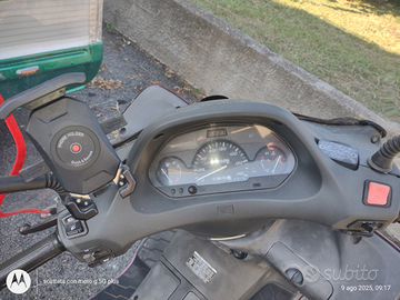 Scooter" Brigida" 250 SV Peugeot