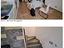 Immagine 21