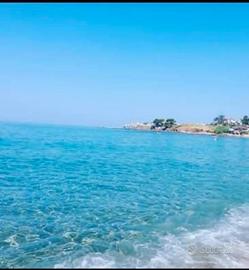 Estate a Santa Maria del Cedro (cs)