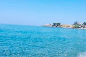 Estate a Santa Maria del Cedro (cs)