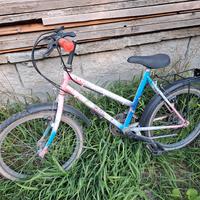 Bicicletta bambina 6-9 anni