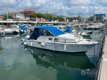 Barca cabinata fuoribordo