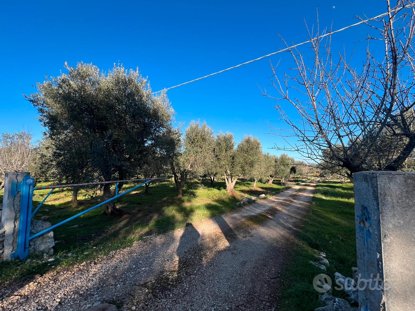 Terreno agricolo - Vista 3