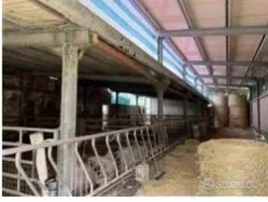 Immobile in asta di 528 m² a Tavoleto - Altro