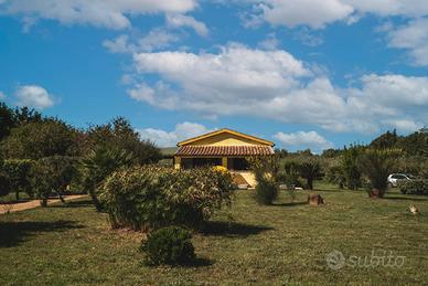 Villetta immersa nel verde ma vicinissima al mare