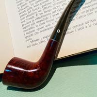 Pipa KAYWOODIE in RADICA