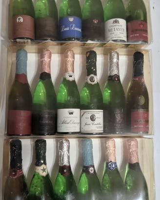Lotto 18 bottiglie champagne in miniatura ALPA 