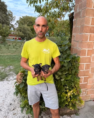 Nuovi Cuccioli di Pinscher (foto reali scattate)