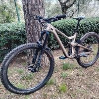 SCOTT RANSOM 920