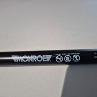 Ammortizzatori Portellone posteriore MONROEE
