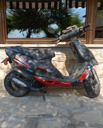 Titolo: Malaguti Phantom F12 LC - Raffreddato a l