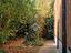 Immagine 7