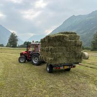 Fieno promo e secondo taglio