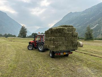 Fieno promo e secondo taglio