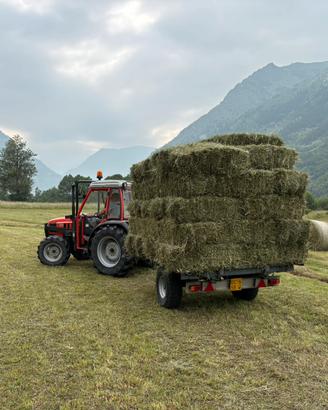 Fieno promo e secondo taglio