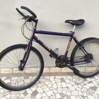 Montain Bike Polar 