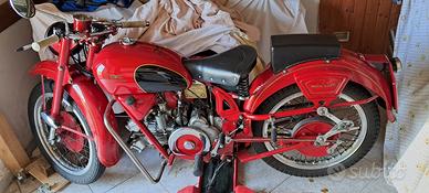 Moto Guzzi Airone 250 - 1953