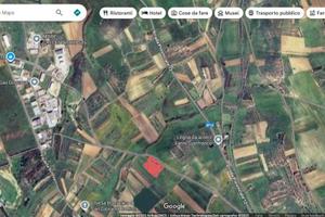 Terreno irriguo lungo strada asfaltata