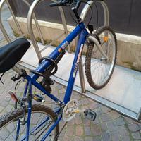 bici Mountain bike 