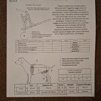 Carrello per cani disabili