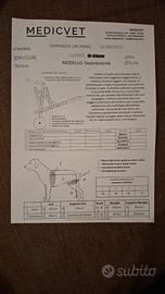 Carrello per cani disabili