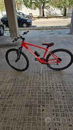Bici lombardo 28