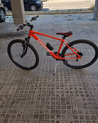 Bici lombardo 28