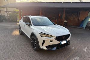 Formentor 2.0 tsi 245 cv