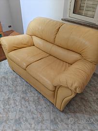 Divani in pelle