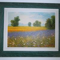 Olio su tela di Caimi Adelio "Campagna fiorita"