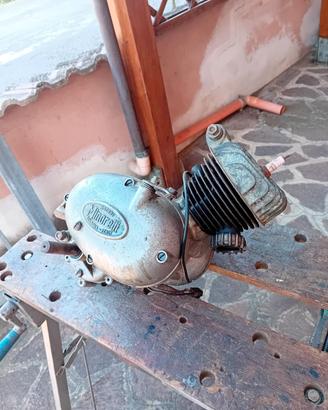 motori Minarelli FB M35-2 e M1