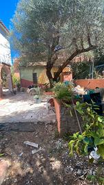 Bilocale con giardino