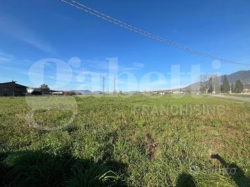 Terreno Agricolo Alife [Cod. rif 3293041VCG]