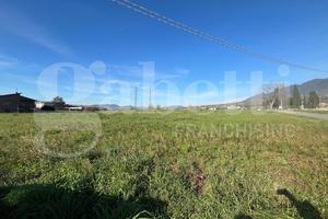 Terreno Agricolo Alife [Cod. rif 3293041VCG]