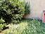 Immagine 9