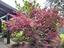 Immagine 13
