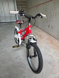 Bici ruota 16