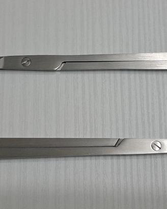 Forbici 25cm in Acciaio